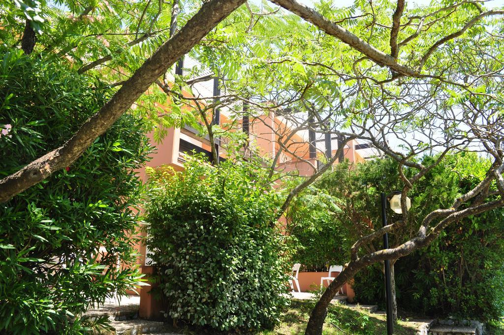 Club Residence Pianetamaratea Santa Caterina  ห้อง รูปภาพ